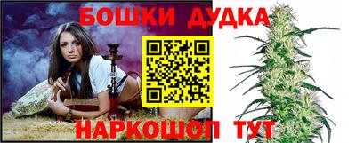 дмт Сланцы